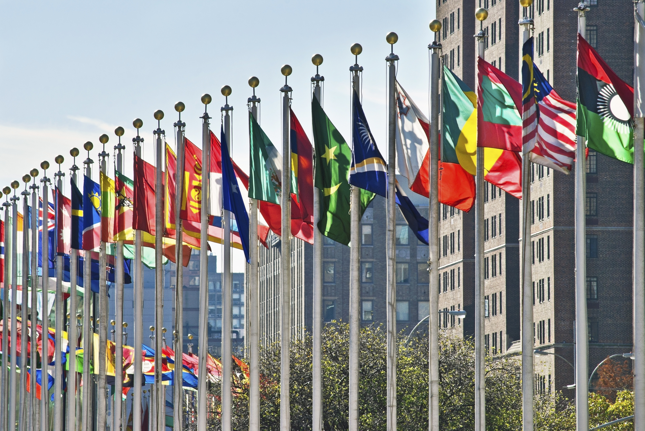 Flag Pole Sales A 50 Star Flags Signs And Flagpole Co