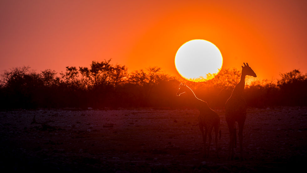 LA NAMIBIE