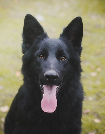 fb (2 sur 2) (Copier).jpg