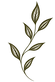 ChatGPT Image Aug 17, 2026, 09_14_53 AM.png