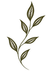 ChatGPT Image Aug 17, 2026, 09_14_53 AM.png