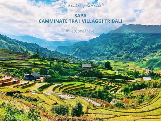 SAPA 2 GIORNI E 1 NOTTE - CAMMINATE TRA I VILLAGGI