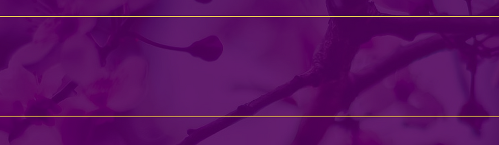 LWM no text banner.png
