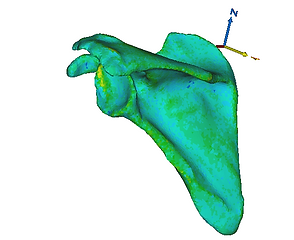 website photo 2.PNG