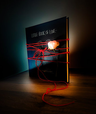 LITTLE BOOK OF LOVE