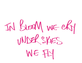 IMG_2813.png