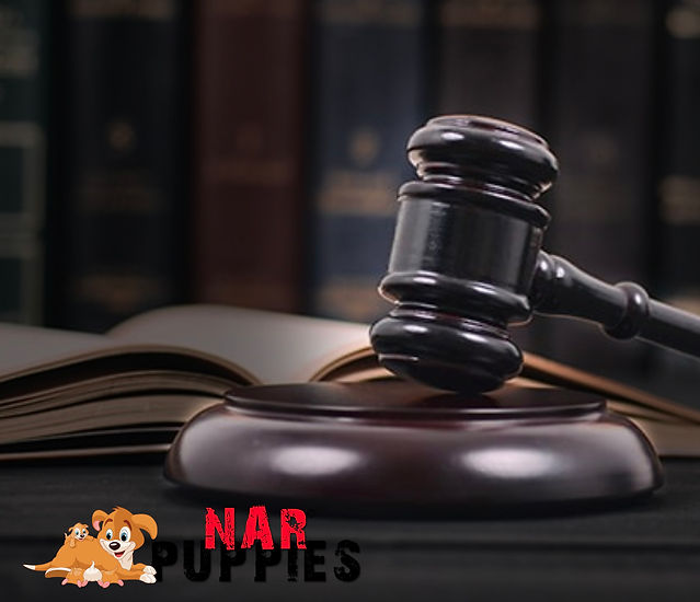 hammerHittingLegal.jpg