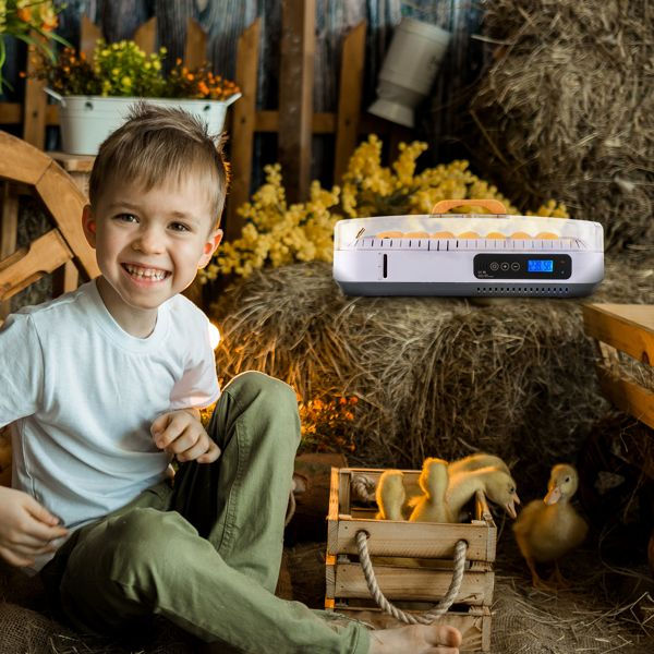 Miniatura: Egg Incubator Digital With Automatic Egg Turning Rotation Farm Equipment