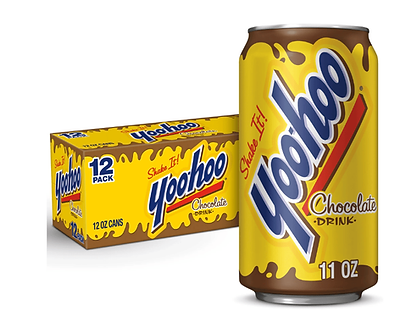 Yoo Hoo Drink Chocoalte 1 Case of 12 11 Ounce Cans