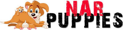 ديزي