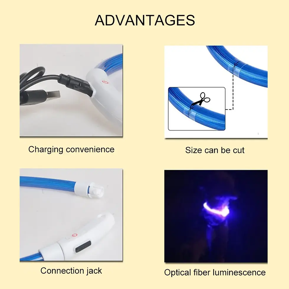 Thumbnail: LED Dog Light Collar Rechargable Multiple Colors