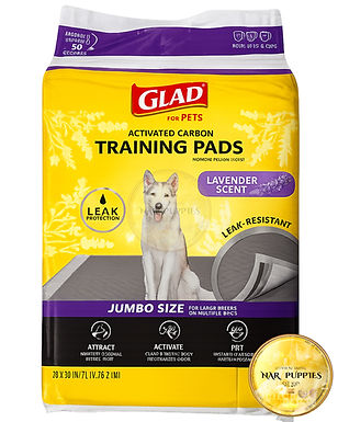 Training Pads Jumbo Glad For Pets Lavender Scent