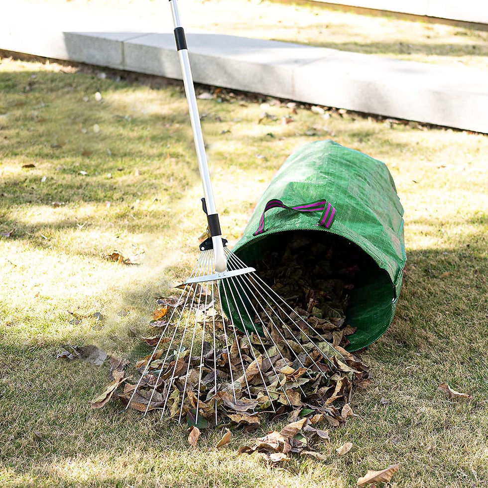 Thumbnail: Yard Rake Tool Leaf Raking Cleanup