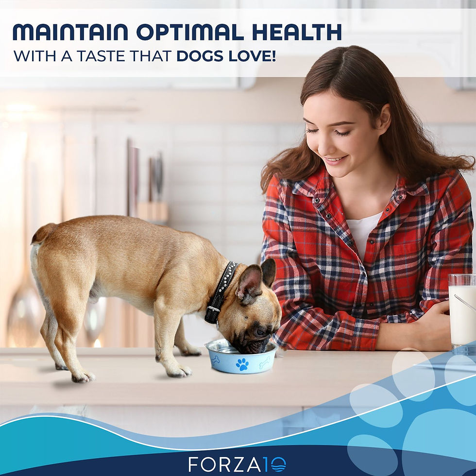 Miniatura: Dog Food Actiwet Hypo Forza10 Fish 3.5oz 32 Total Cans
