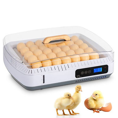 Egg Incubator Digital With Automatic Egg Turning Rotation Farm Equipment