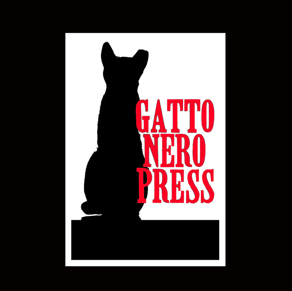 gatto nero website