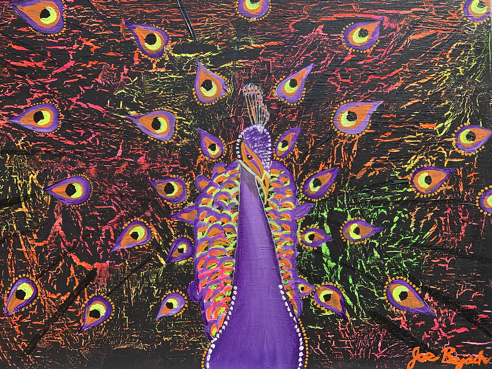 Joe BEJACH NEON PEACOCK