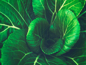 Addressing Iron Deficiency and Low Stomach Acid: A Comprehensive Guide