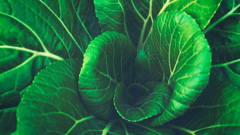 How can I Increase my Chances of Getting Pregnant Naturally?