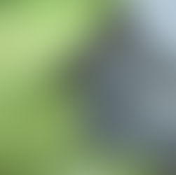 JONGJI定期便案内