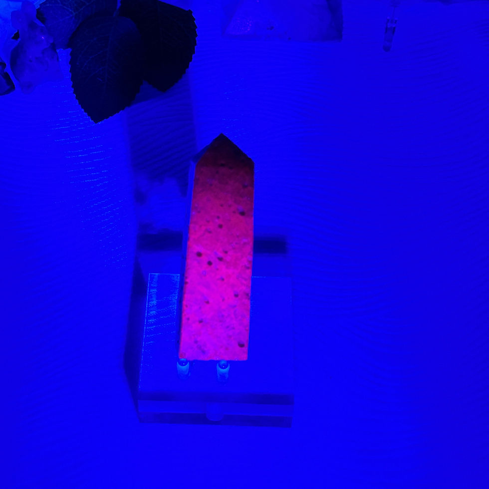 Thumbnail: Honeycomb Ruby Tower (B) (UV Reactive)