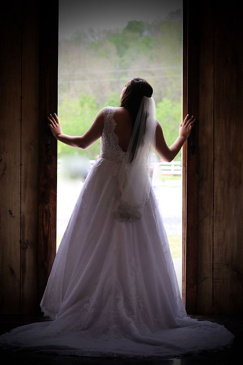 Bride Back Between Doors.jpeg