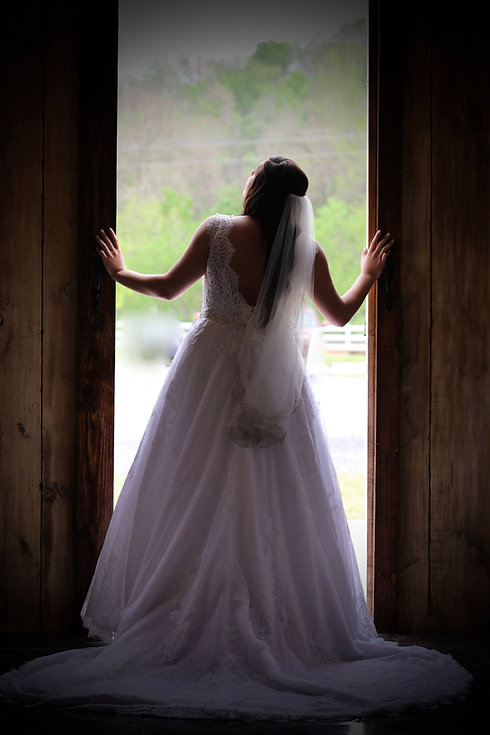 Bride Back Between Doors.jpeg