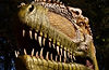 techphotogal-dinosaur-face-2762432_1920.jpg