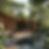 Jungle resort and wellness luxury resort in Goa