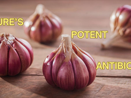 Garlic—Nature's Strongest Antibiotic