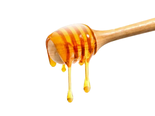 honey2_edited.png