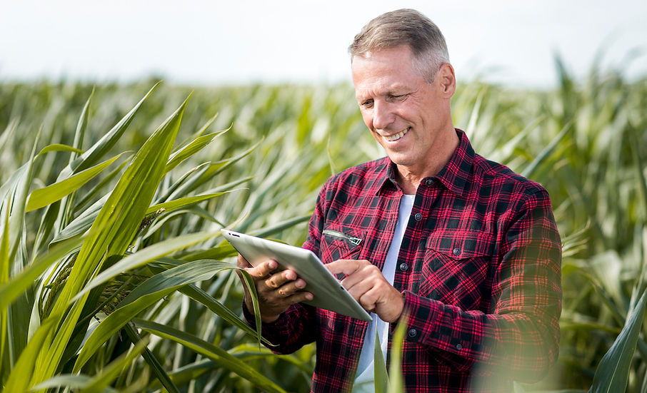 Automated crop monitoring and defects detection