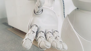 A Chat with a Roboticist