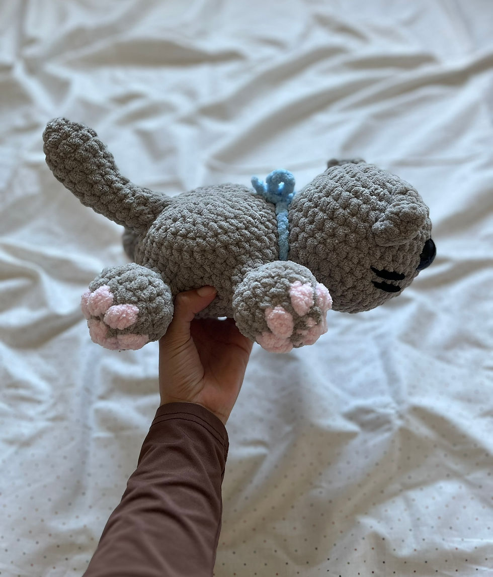 Thumbnail: Splotting Cat