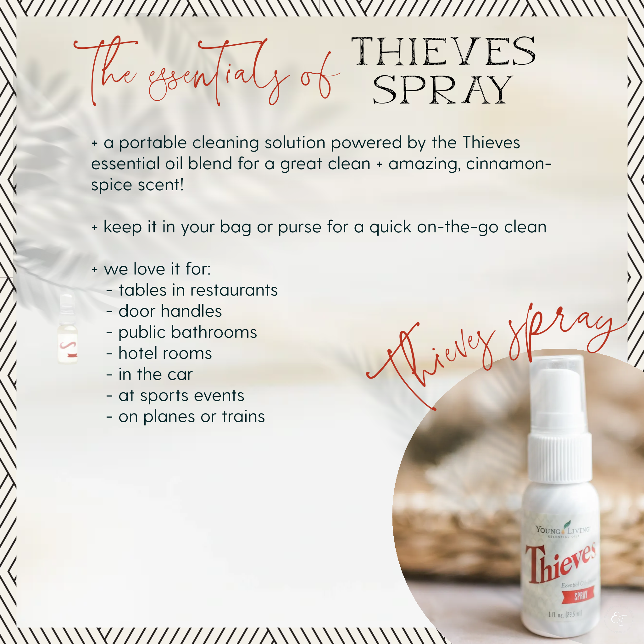 starter bundle 'essentials of' cards- thieves spray.png