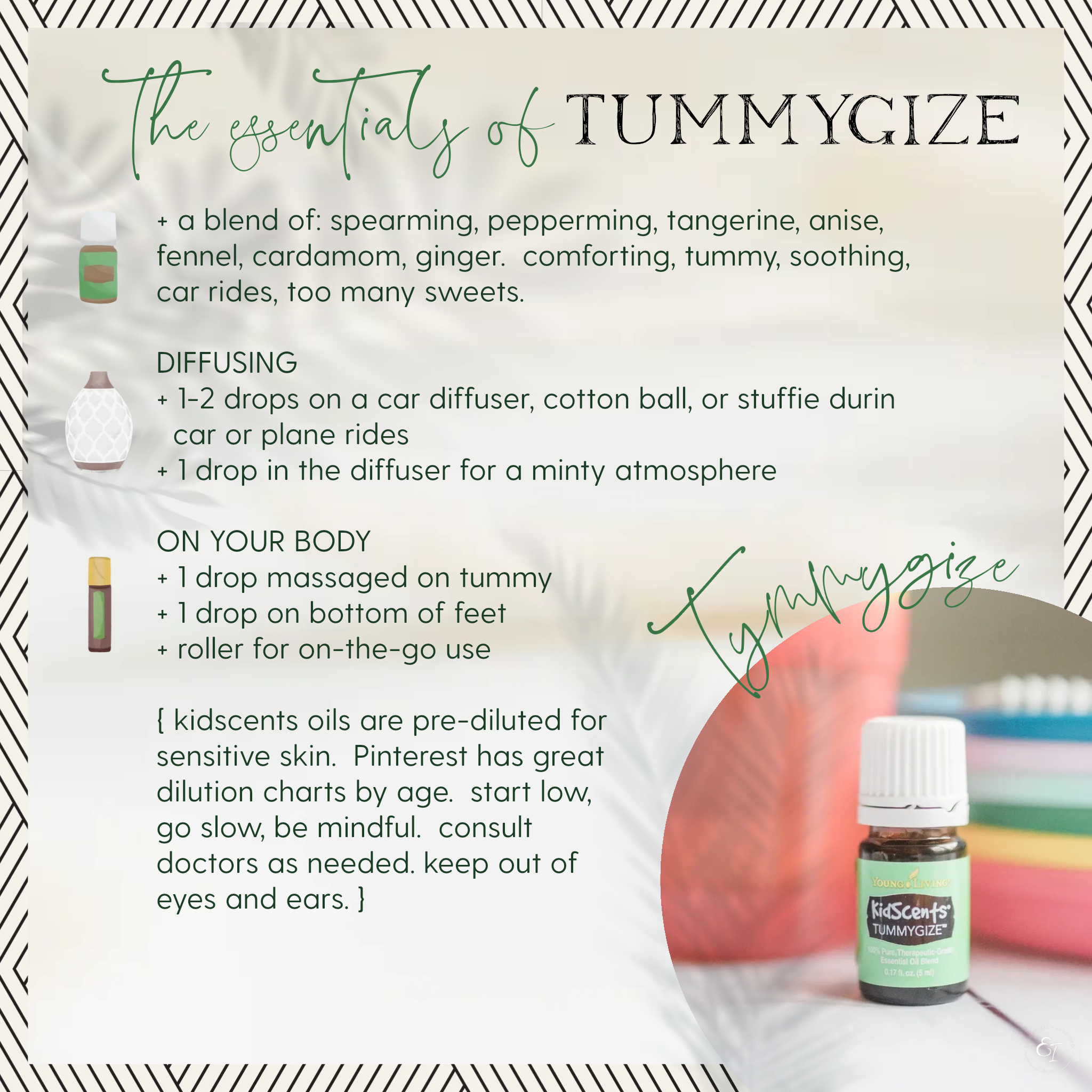 little oilers bundle 'essentials of' cards- tummygize.png