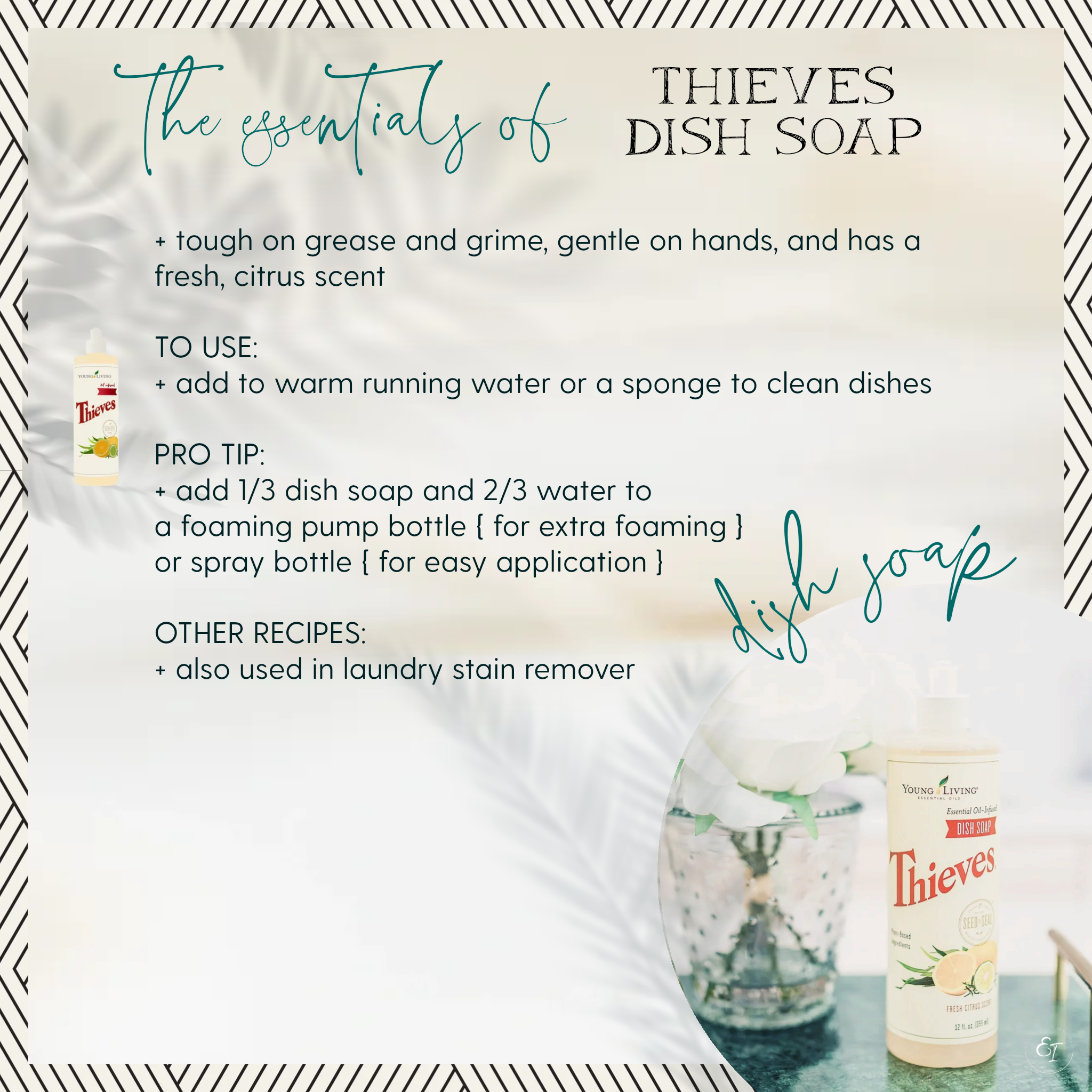 thieves loyalty bundle 'essentials of' cards- dish soap.png