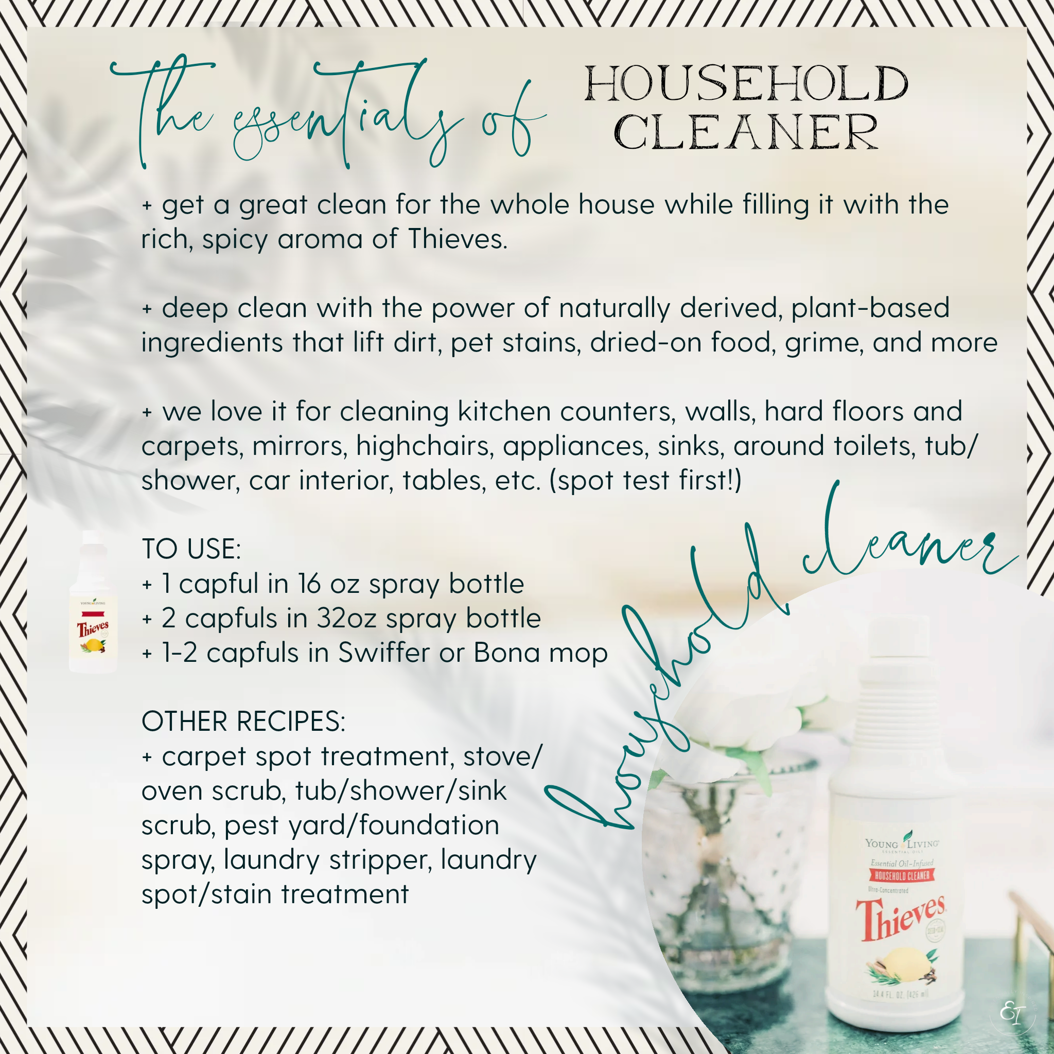 thieves loyalty bundle 'essentials of' cards- thieves cleaner.png