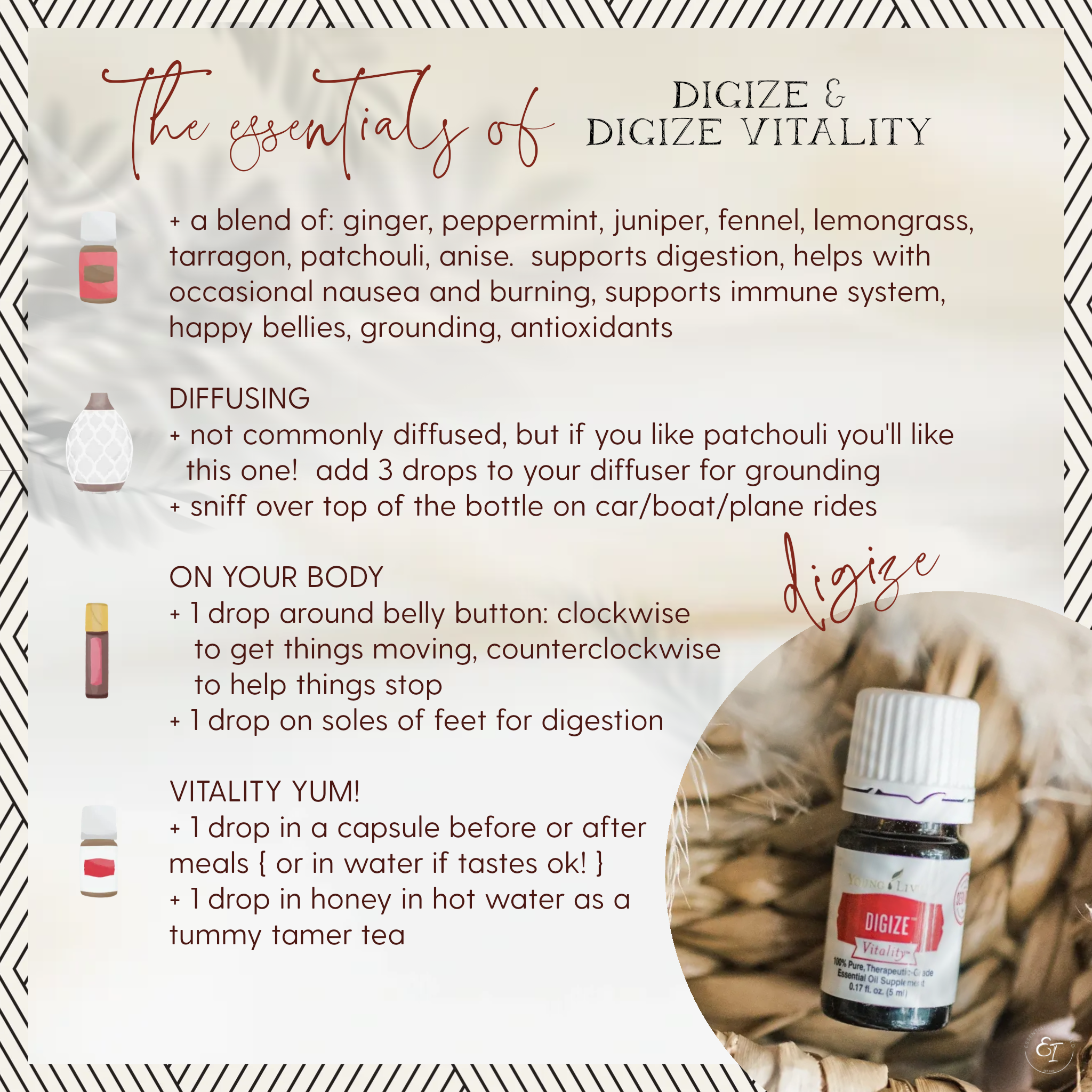 starter bundle 'essentials of' cards- digize.png