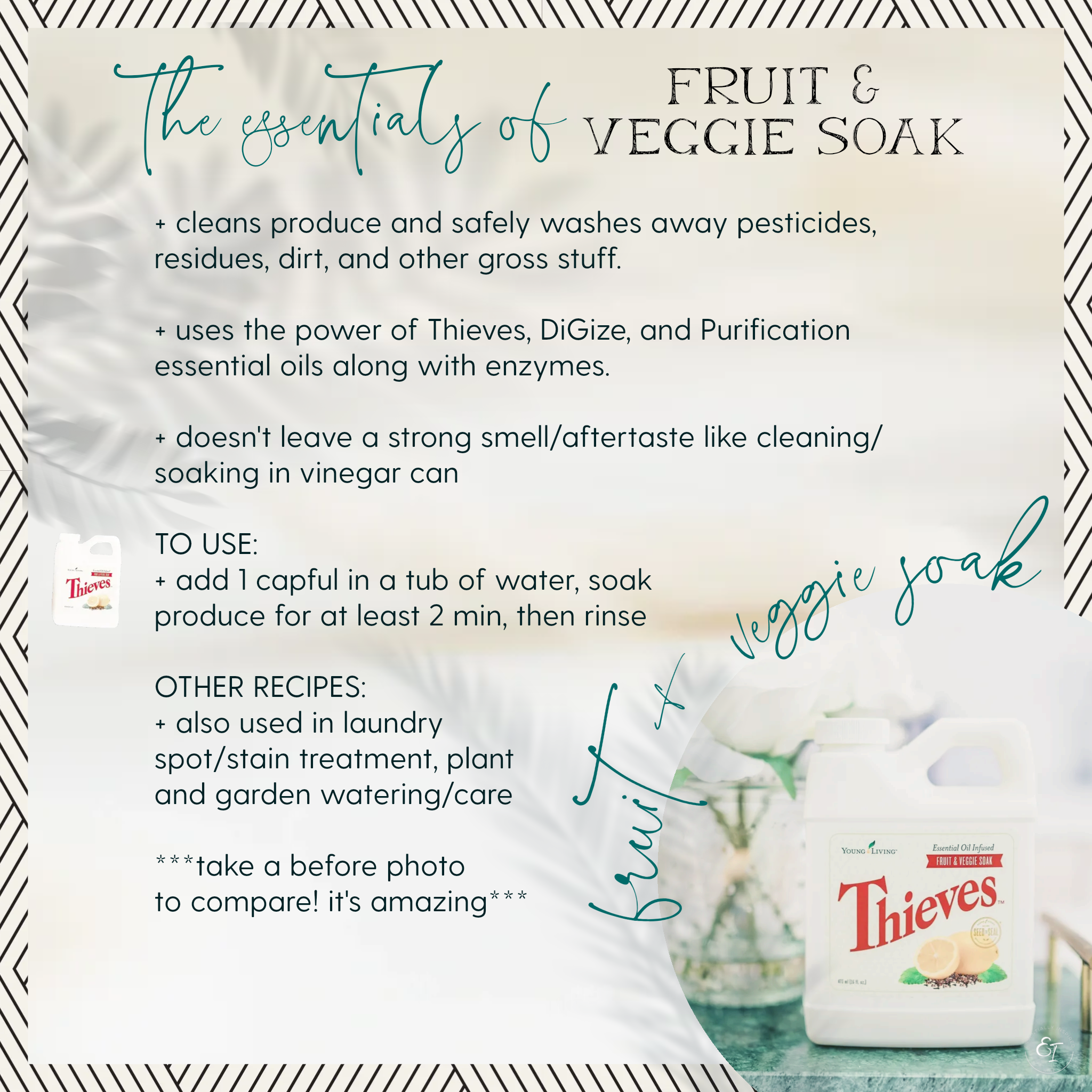 thieves loyalty bundle 'essentials of' cards- fruit and veg soak.png