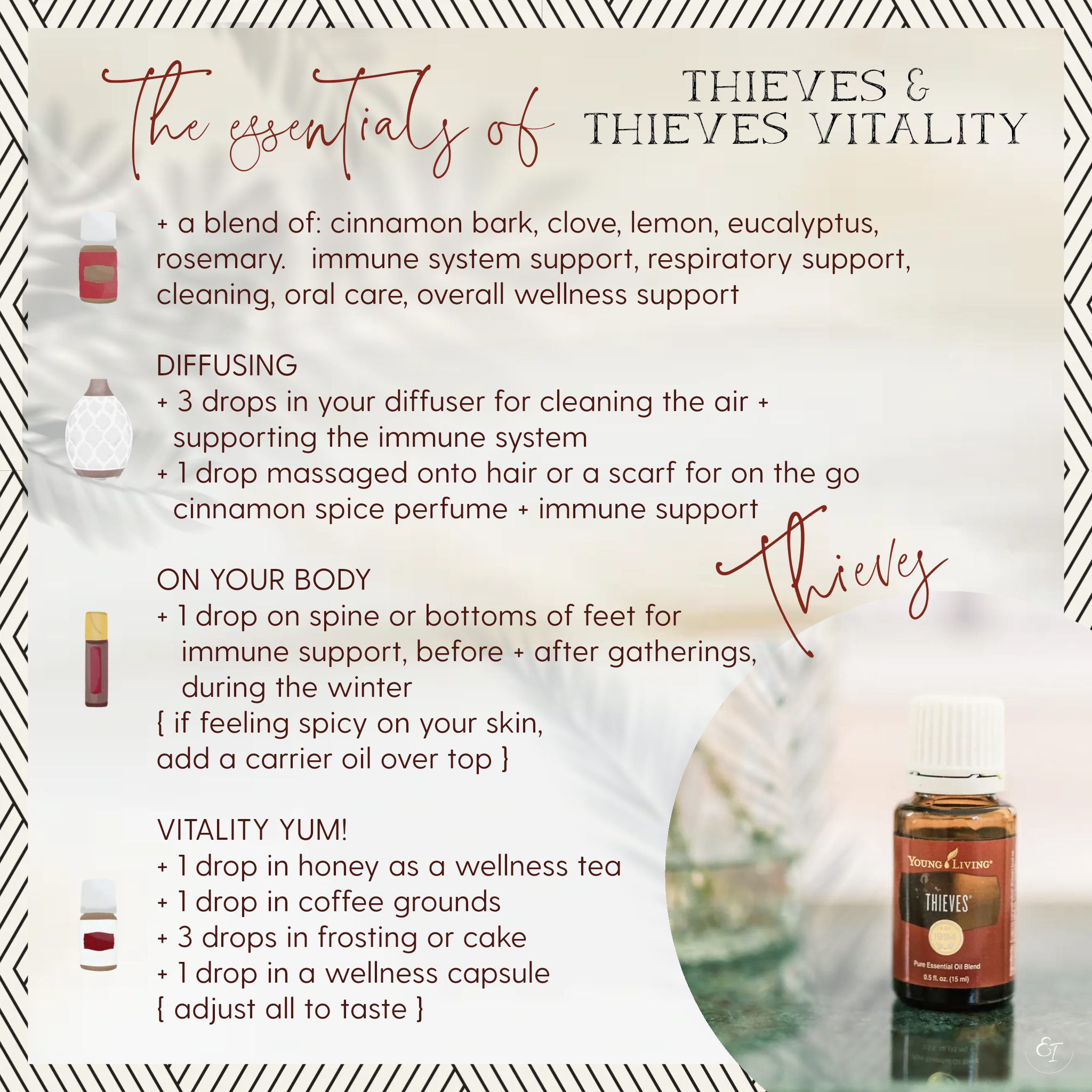 thieves loyalty bundle 'essentials of' cards- thieves.png