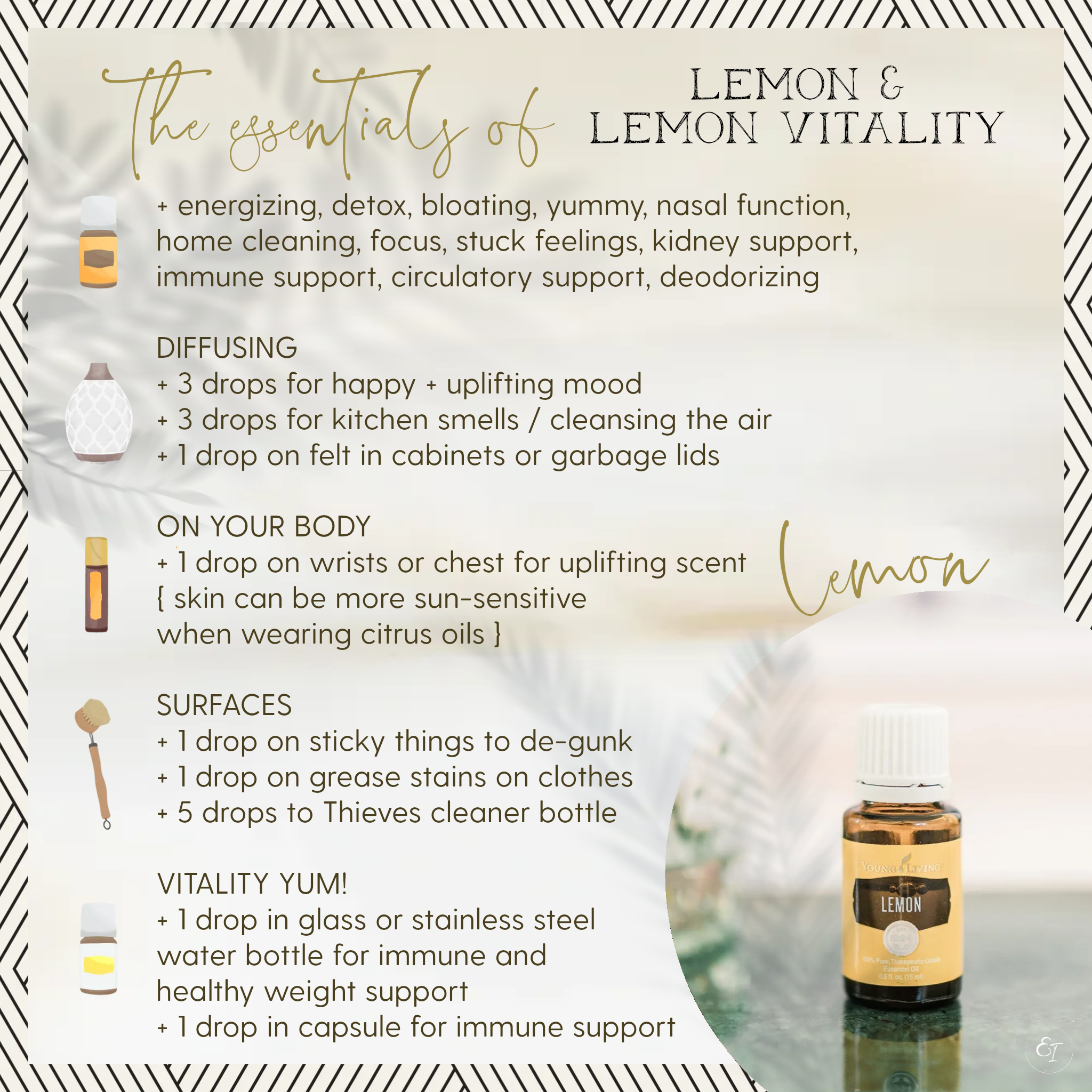 thieves loyalty bundle 'essentials of' cards- lemon.png