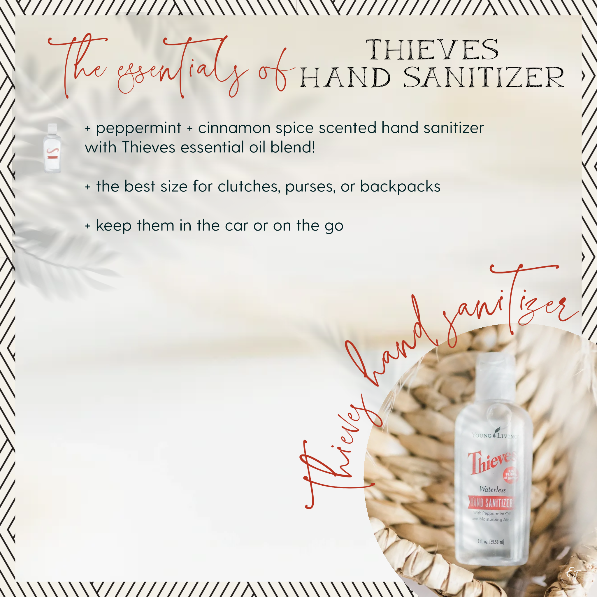 starter bundle 'essentials of' cards- thieves hand sanitizer.png