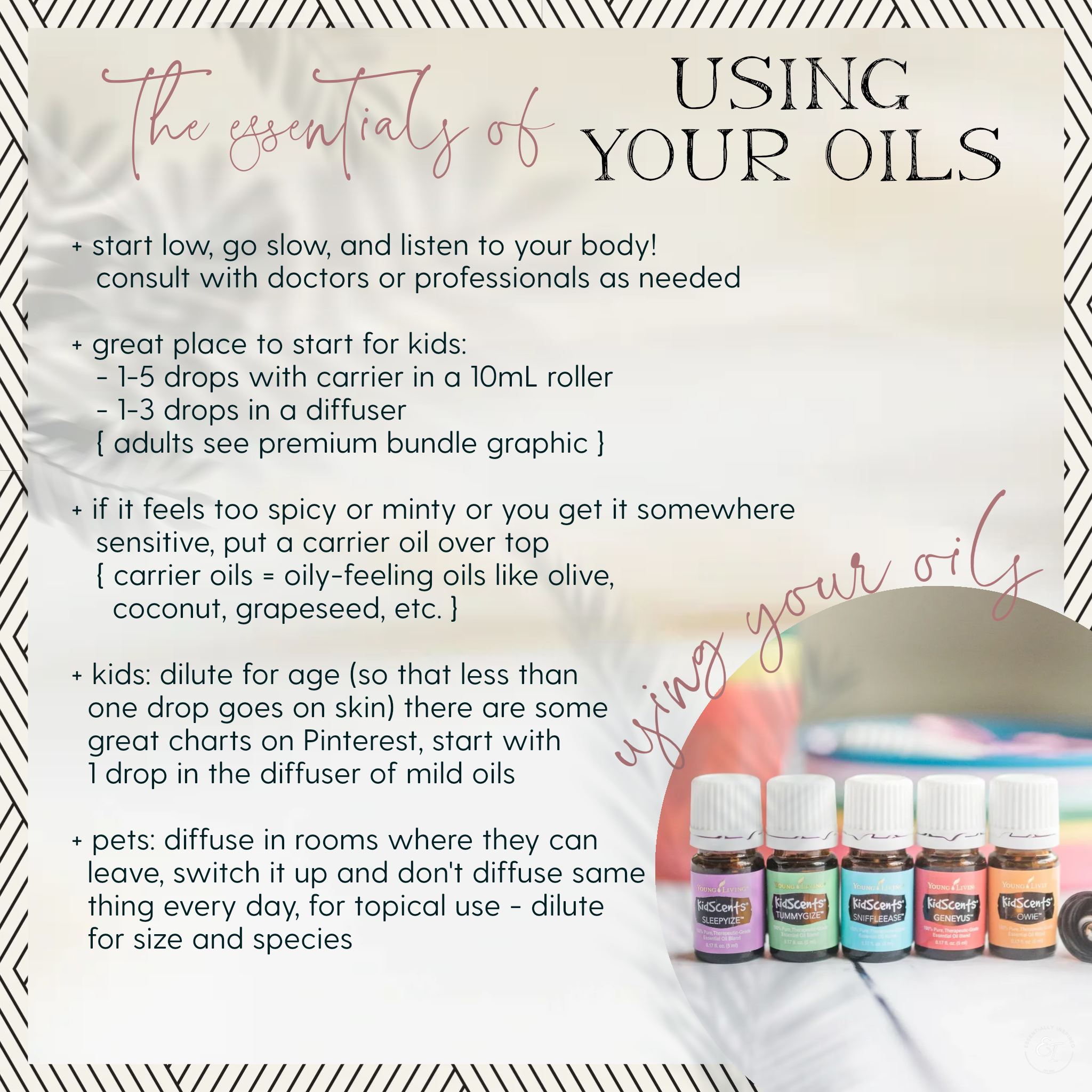 little oilers bundle 'essentials of' cards- use your oils.png