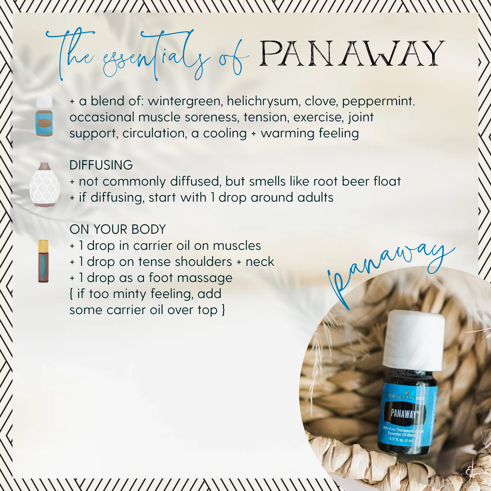 starter bundle 'essentials of' cards- panaway.png