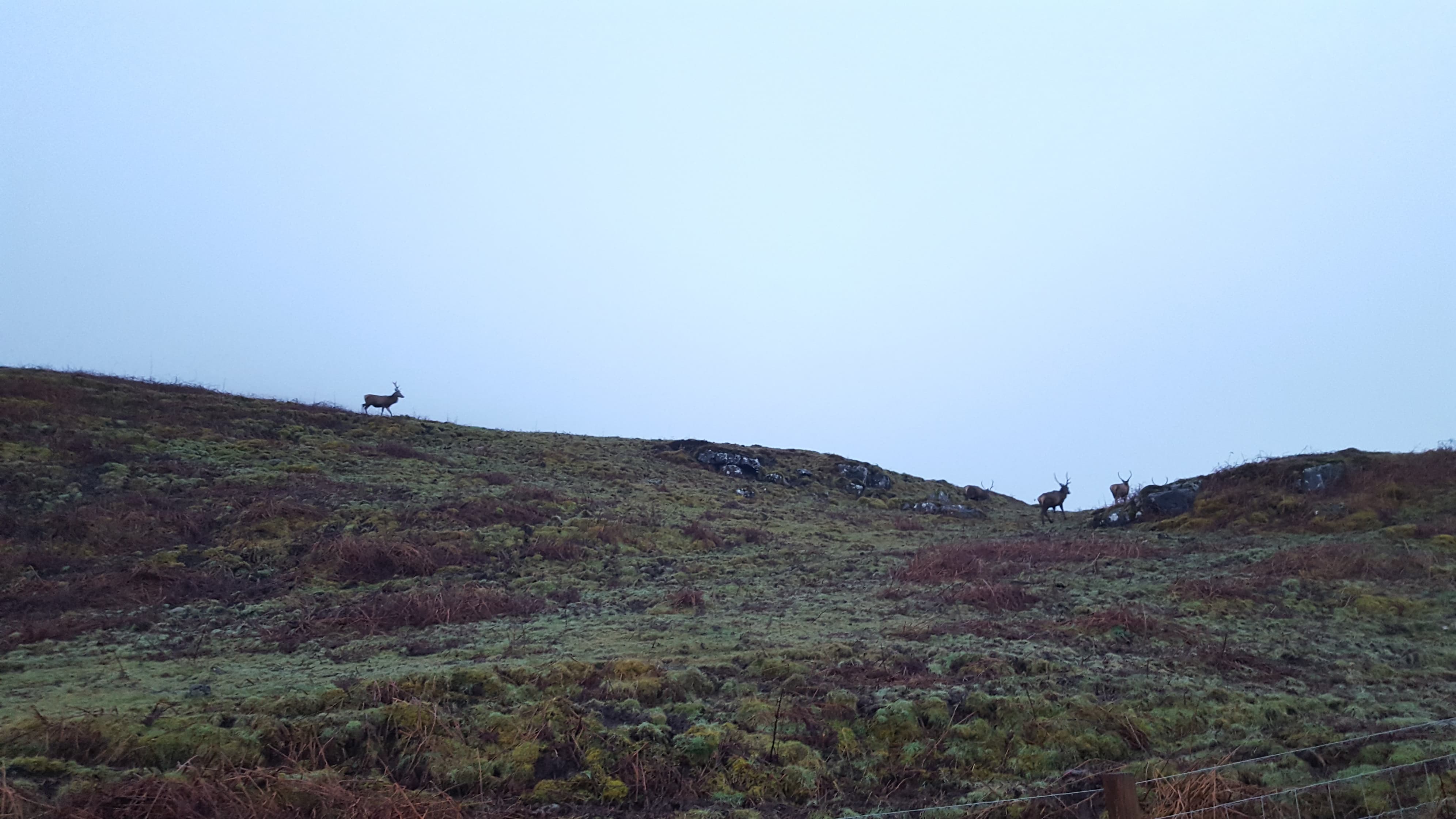 Dervaig Bunk Rooms | Dervaig Hostel