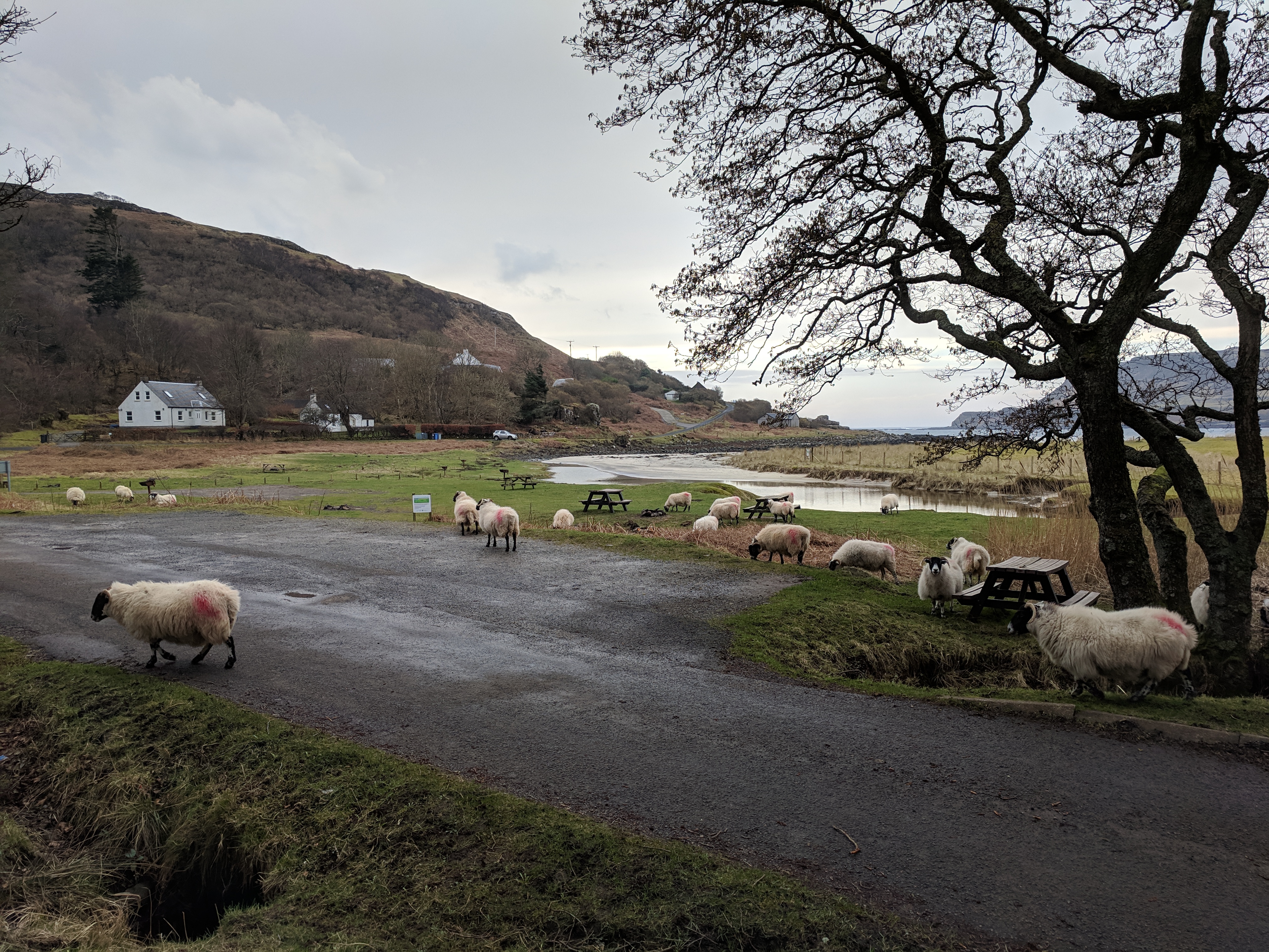 Dervaig Bunk Rooms | Dervaig Hostel