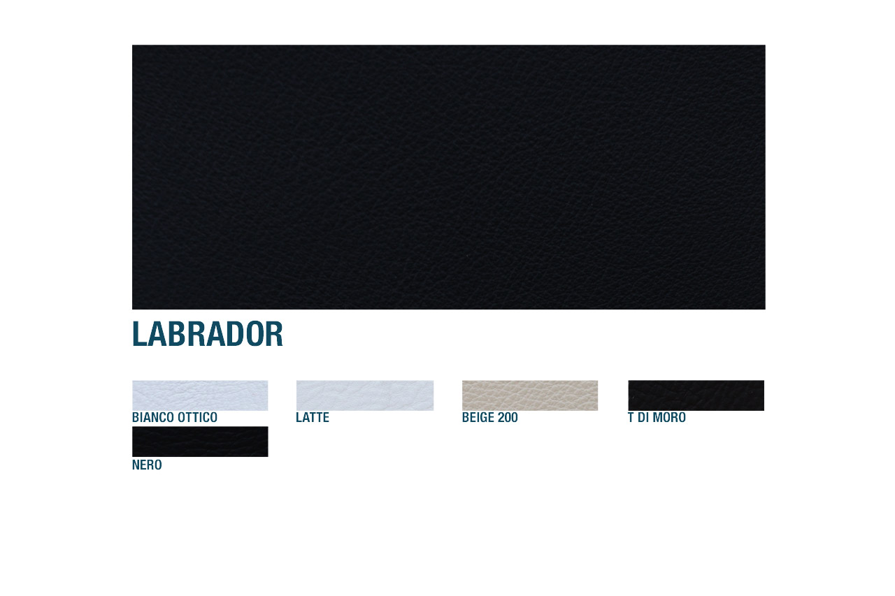 Labrador
