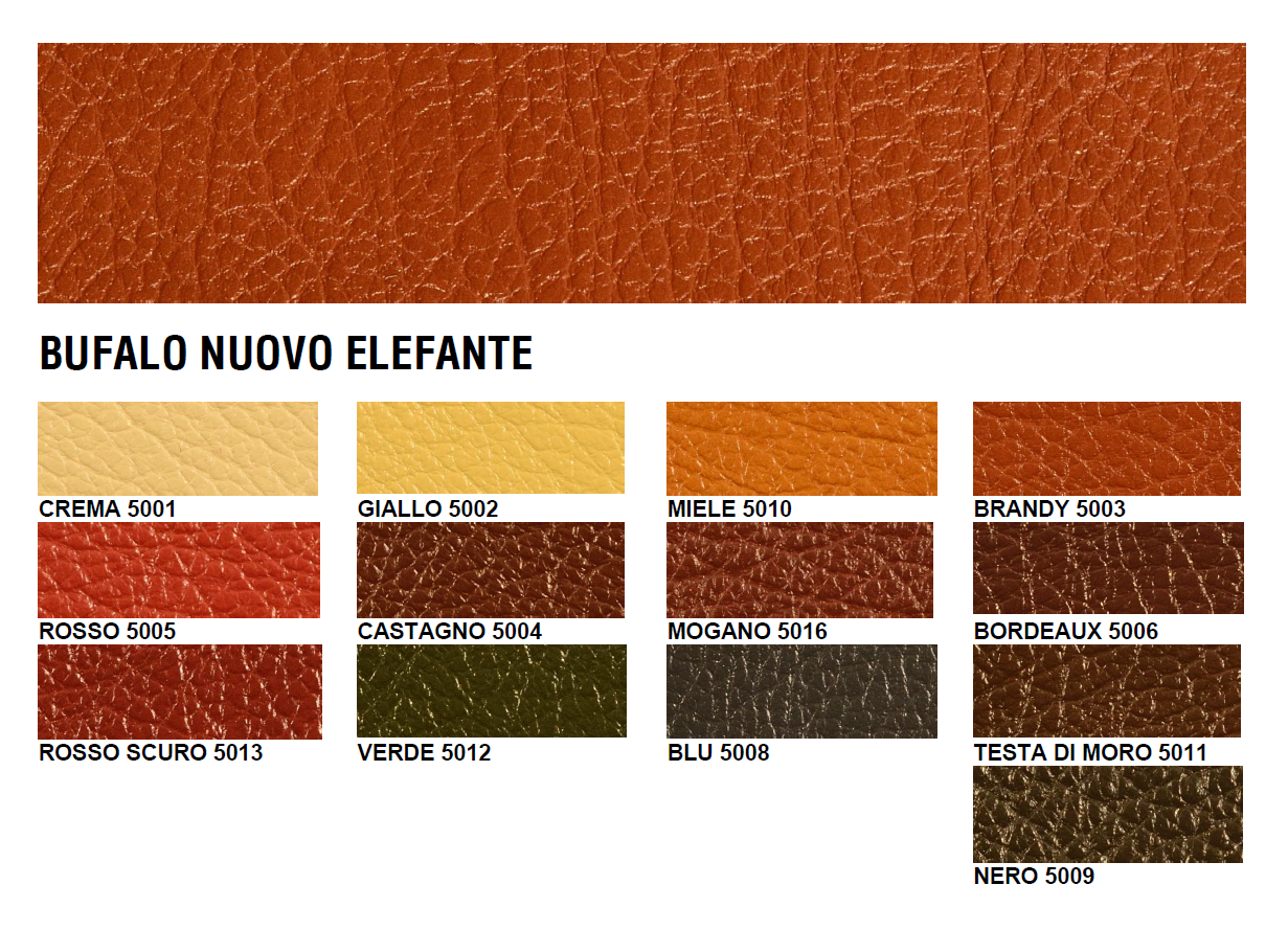 Bufalo nuovoelefante