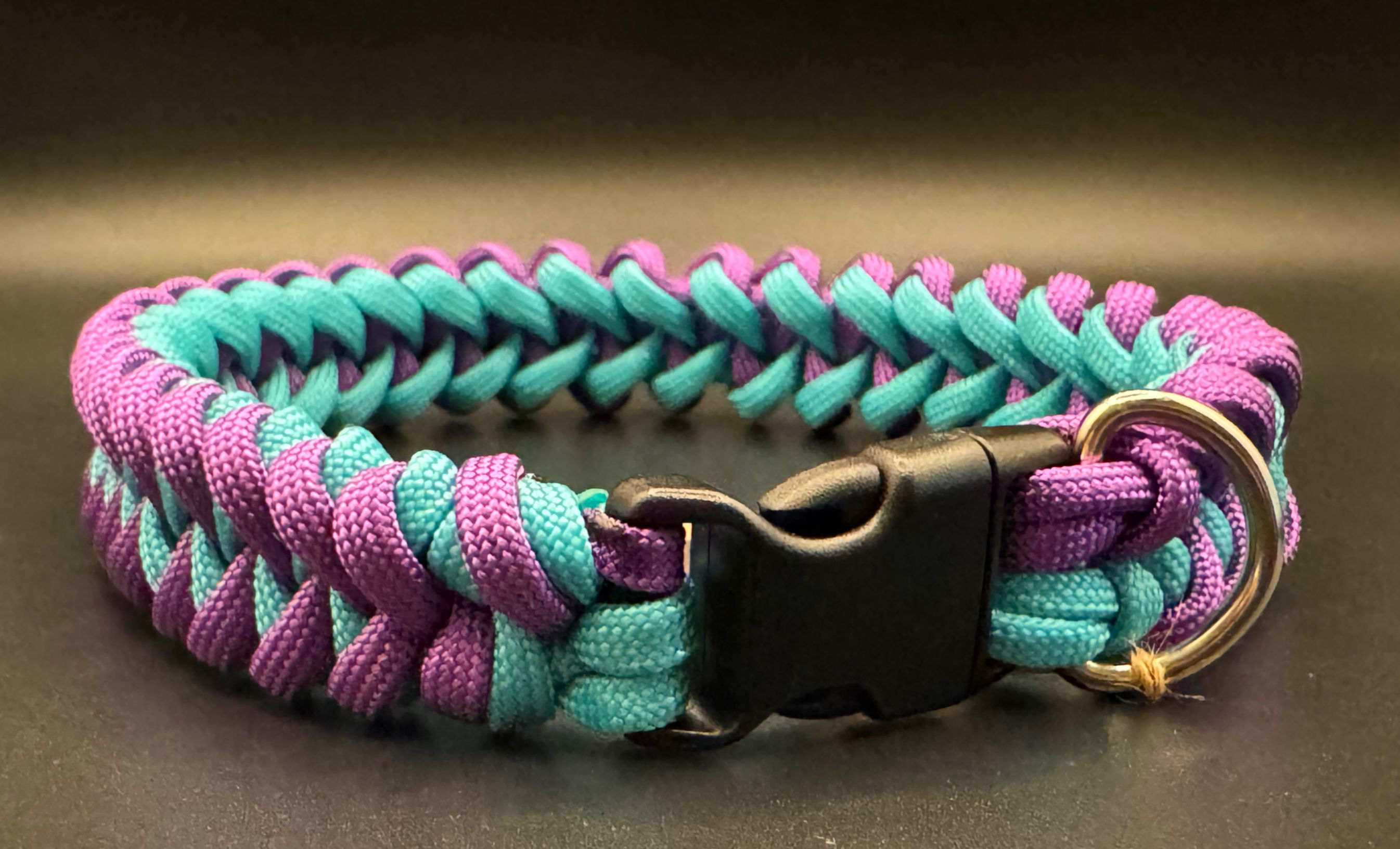 Two tone Shark Tooth on Side Release Buckle 13 inch (Medium)